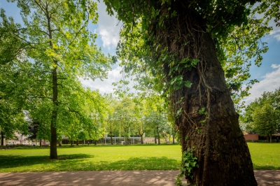 Park Zwevegem - De Witte Kamer - Landschapsarchitectuur en interieurarchitectuur voor kleine, grote en zotte projecten