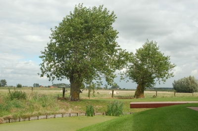 Tuin D Lo - De Witte Kamer - Landschapsarchitectuur en interieurarchitectuur voor kleine, grote en zotte projecten