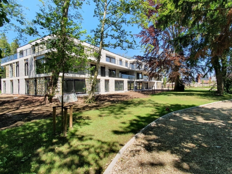 Zomerloos - De Witte Kamer - Landschapsarchitectuur en interieurarchitectuur voor kleine, grote en zotte projecten