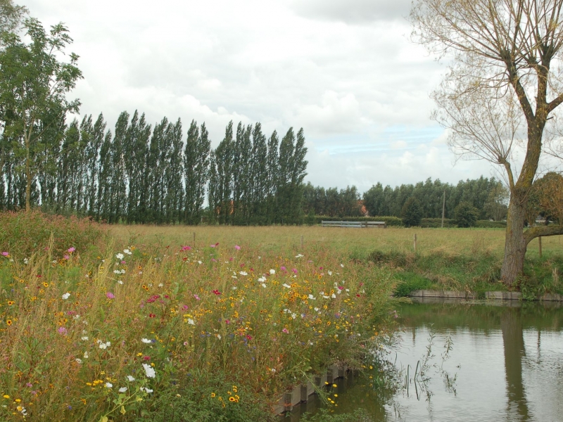 Tuin D Lo - De Witte Kamer - Landschapsarchitectuur en interieurarchitectuur voor kleine, grote en zotte projecten