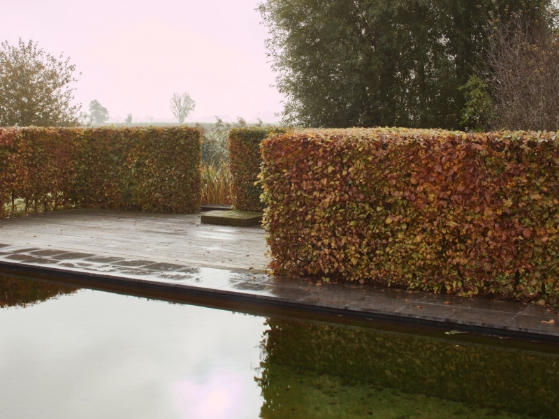 Tuin S Lo - De Witte Kamer - Landschapsarchitectuur en interieurarchitectuur voor kleine, grote en zotte projecten