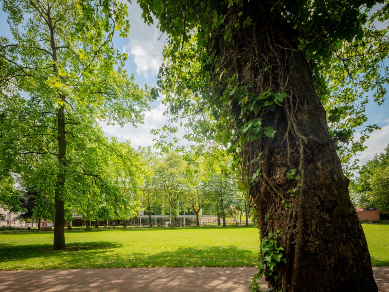 Park Zwevegem - De Witte Kamer - Landschapsarchitectuur en interieurarchitectuur voor kleine, grote en zotte projecten