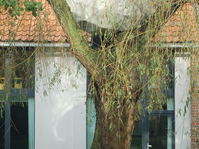Boomhut Lo - De Witte Kamer - Landschapsarchitectuur en interieurarchitectuur voor kleine, grote en zotte projecten