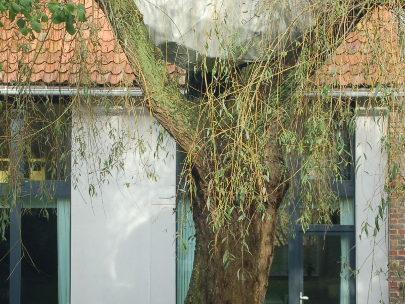 Boomhut Lo - De Witte Kamer - Landschapsarchitectuur en interieurarchitectuur voor kleine, grote en zotte projecten