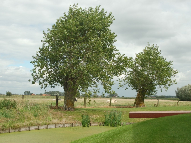 Tuin D Lo - De Witte Kamer - Landschapsarchitectuur en interieurarchitectuur voor kleine, grote en zotte projecten